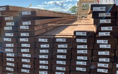 Étiquettes, tags RFID et formulaires pour l’industrie forestière