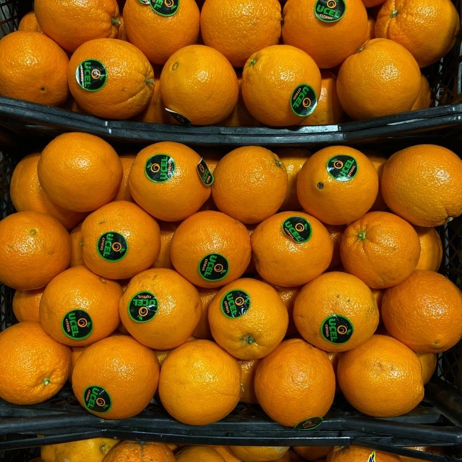 Étiquettes vertes pour fruits et légumes Étiquettes vertes pour fruits et légumes