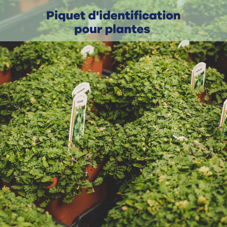 Piquets d'identification pour plantes