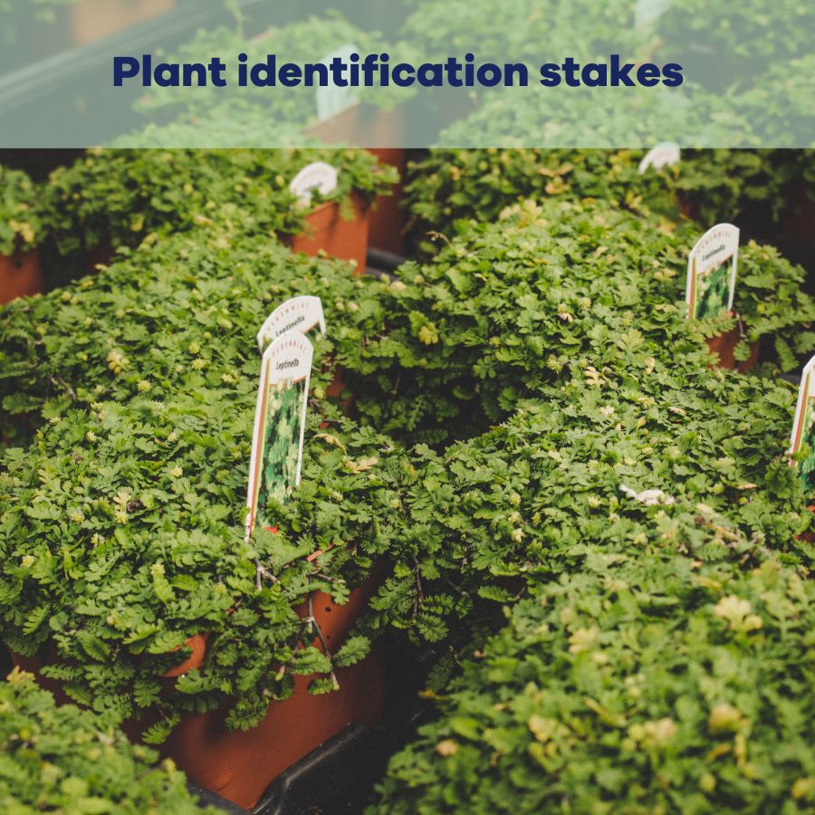 Plant identification stakes and tags