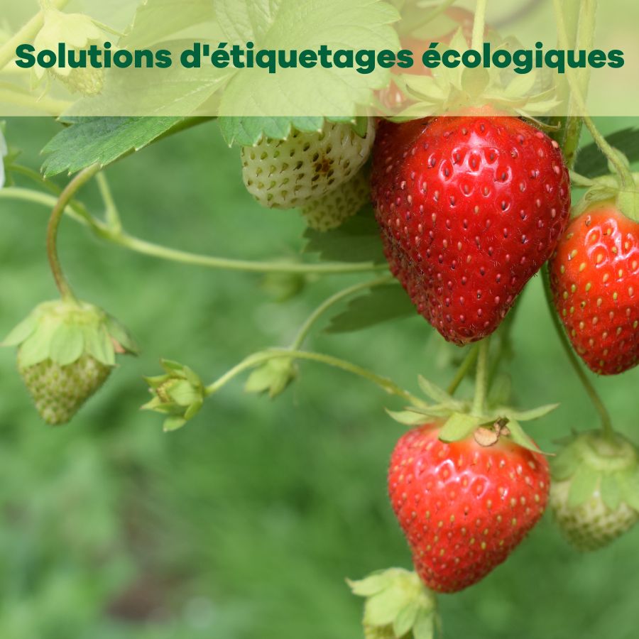 Solutions d'étiquetages écologiques pour produits agrochimiques