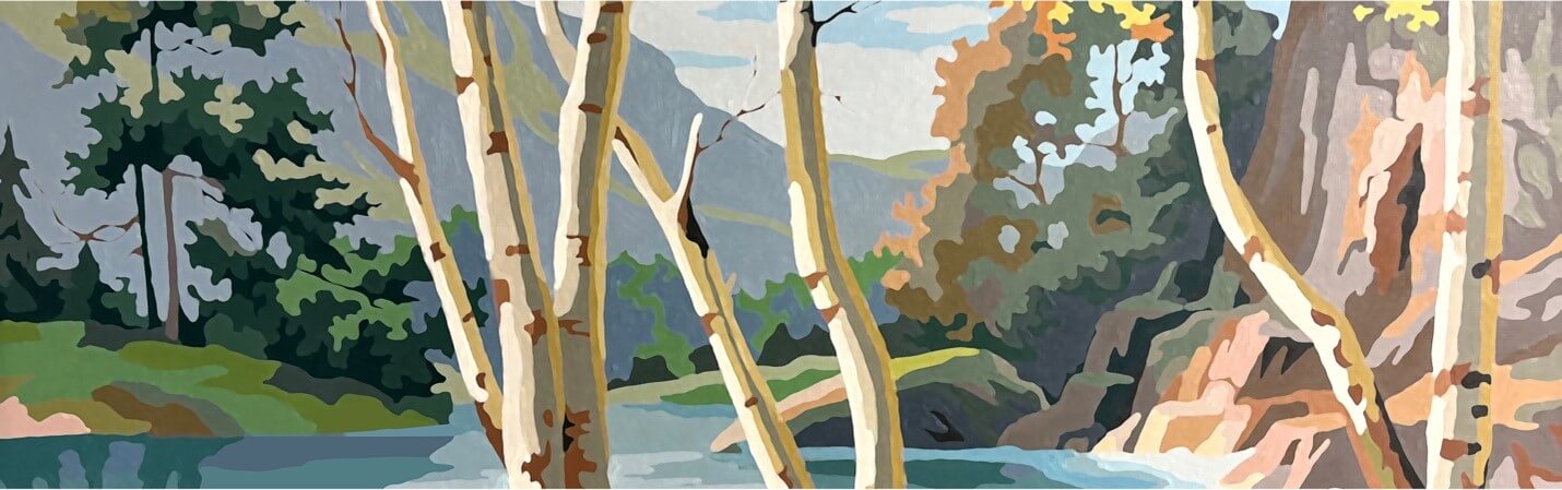 Sustainable Forest Scene Sustainable Forest Scene