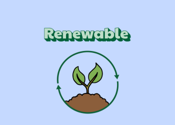 Renewable Packaging Materials: Shift Away from Fossil Fuels