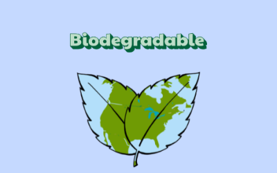 Compostable and Biodegradable Label Materials