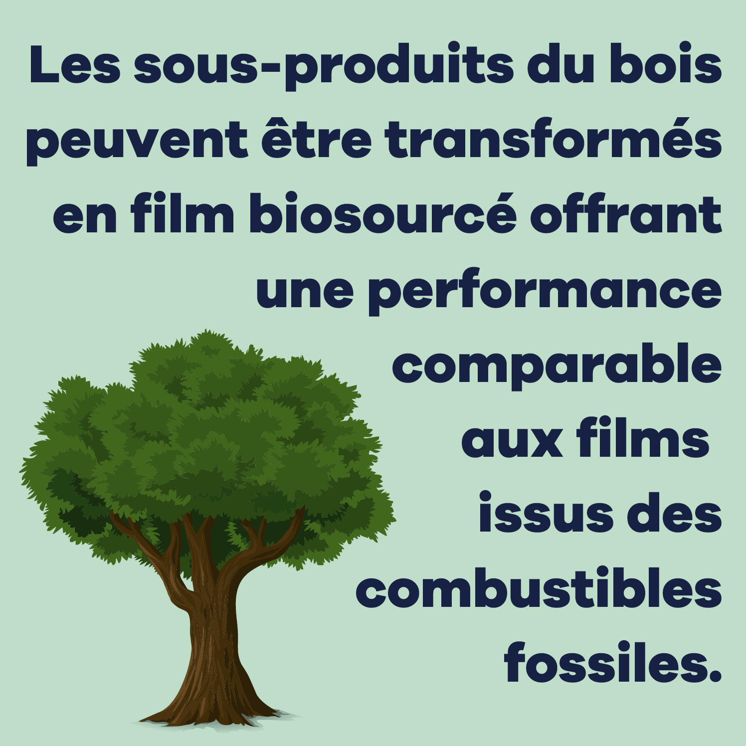 green text box with tree graphic