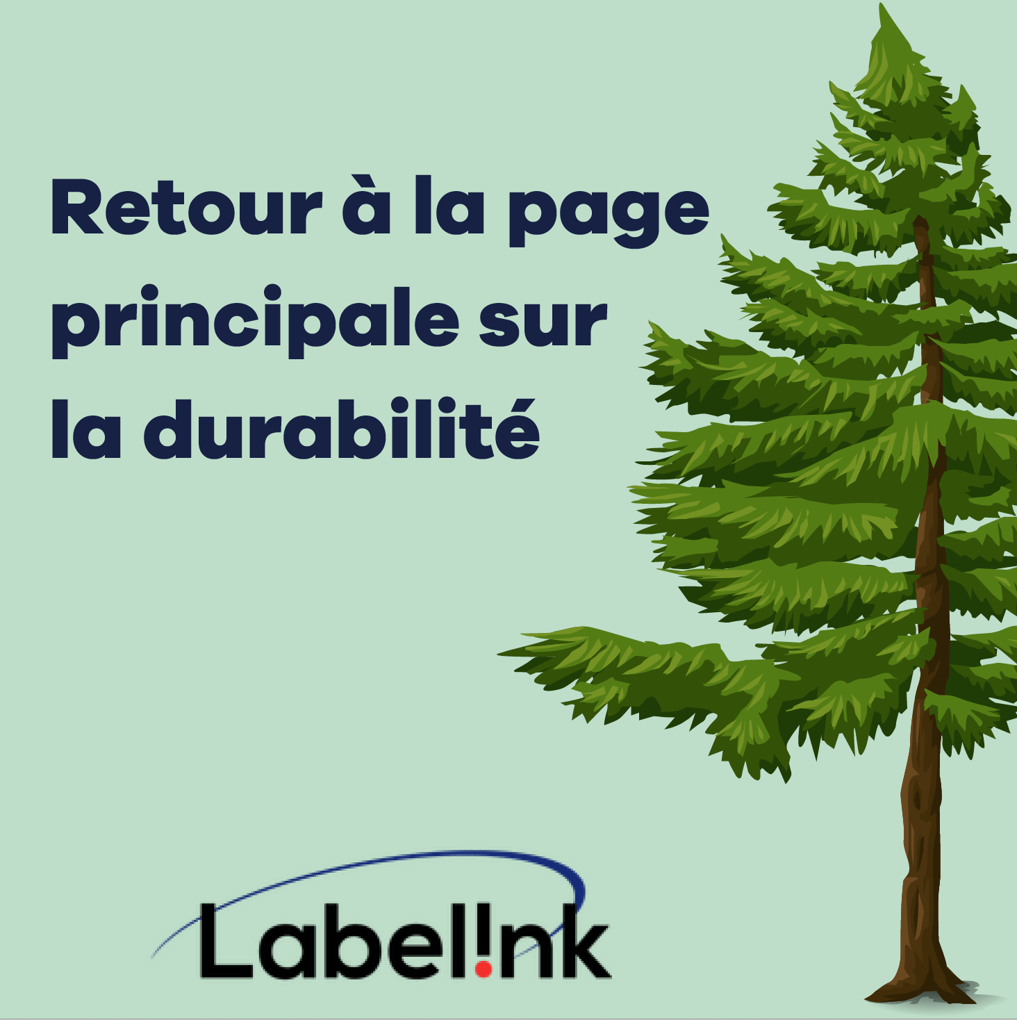 Navigate-back-FR green text box with image of pine tree