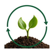 renewable - RENOUVELABLE